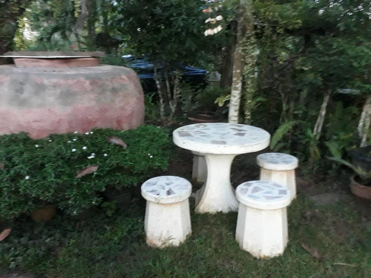 Garden *