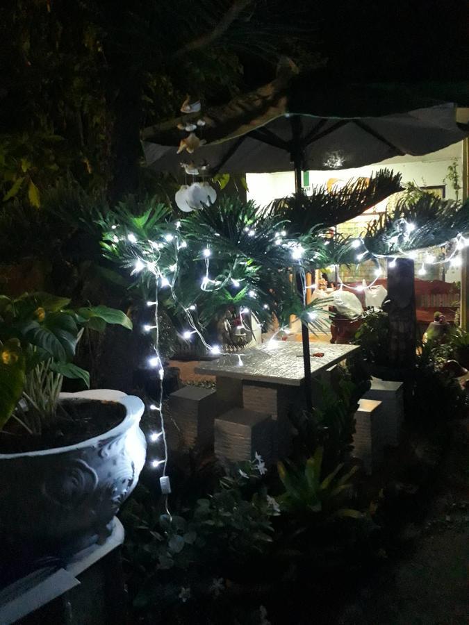 Homestay Garden