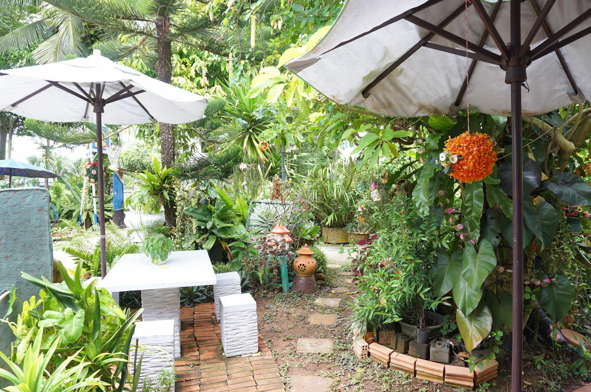 Garden Homestay Surat Thani
